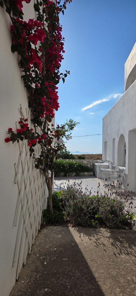 Bougainvillea und Sitzplätze bei Atlas